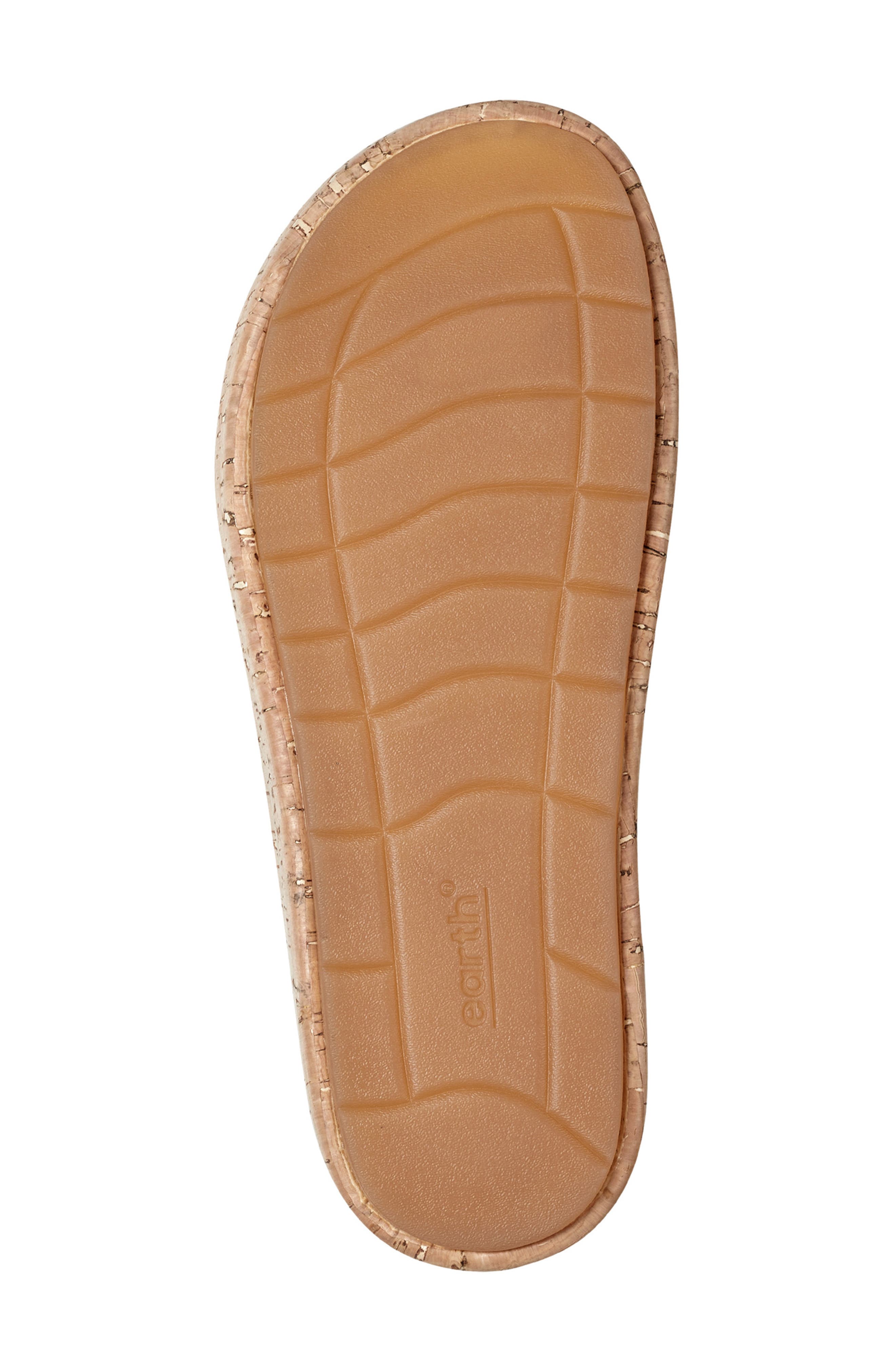 Earth<sup>®</sup> Scout Platform Slide Sandal, Alternate, color, Dark Blue