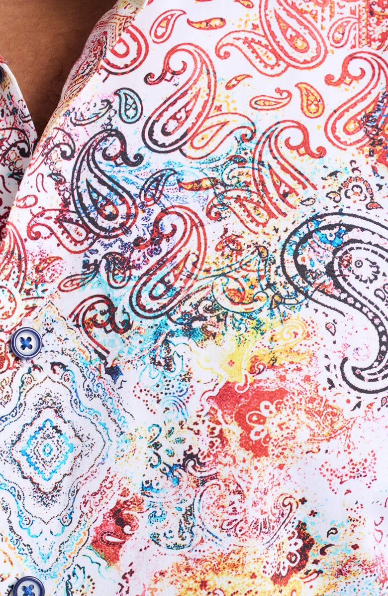 Robert Graham Mirta Long Sleeve Cotton Button-Shirt, Alternate, color, 