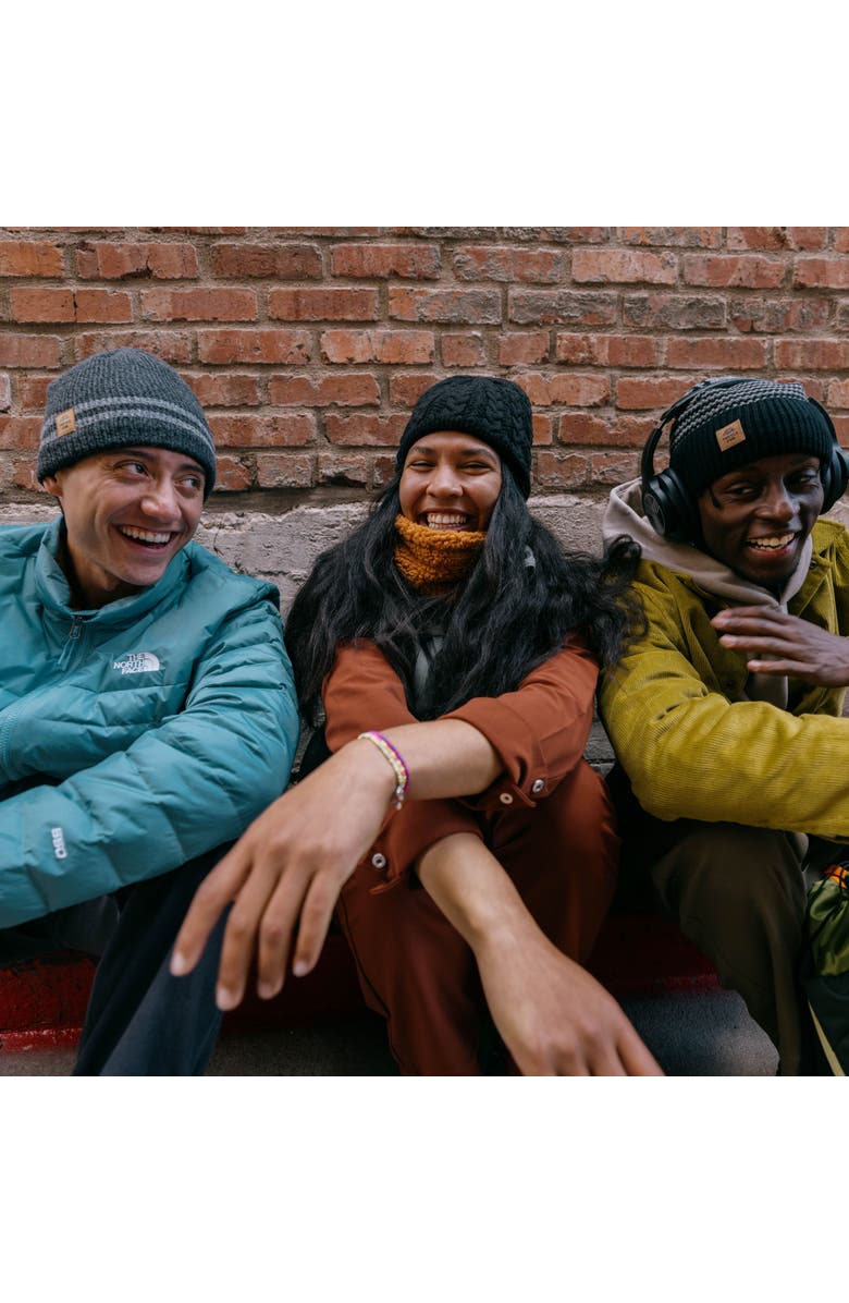 Turtle Fur Mr. Happy Wool Beanie, Alternate, color, 