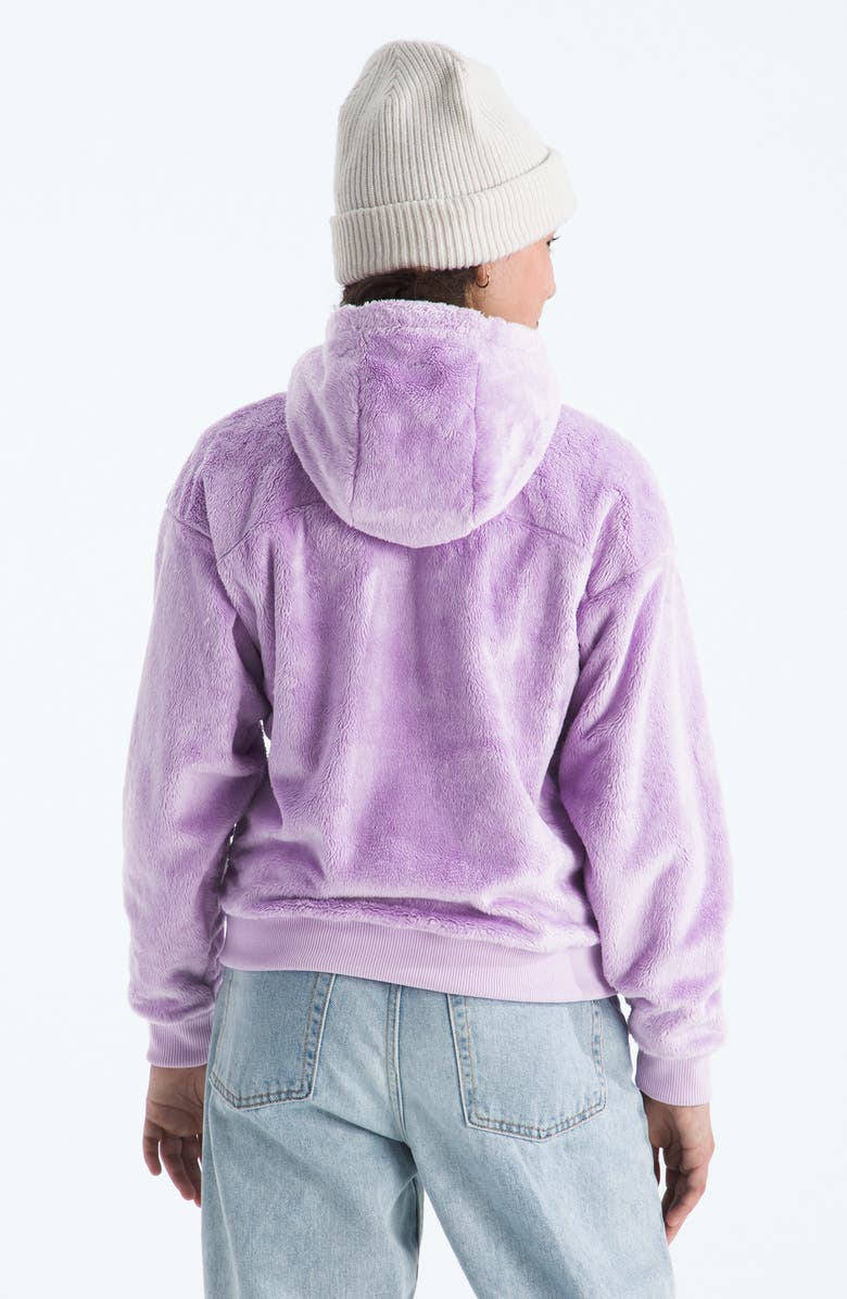 The North Face Kids' Osito High Pile Fleece Full Zip Hoodie, Alternate, color, Lite Lilac