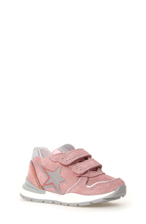 Naturino Kids' Roy Sneaker In Multi