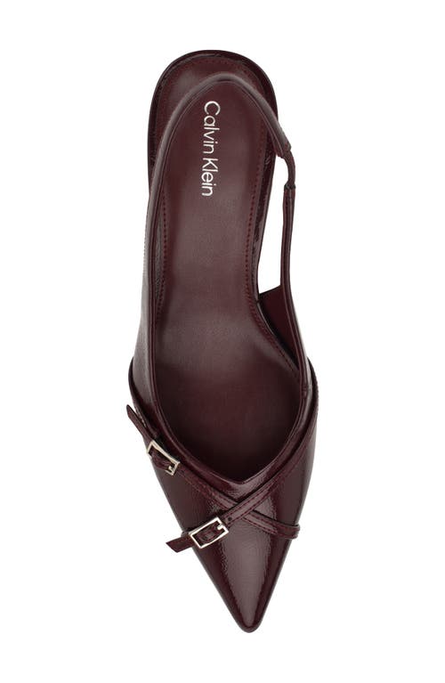 Calvin Klein Tulissa 2 Pointed Toe Slingback Pump In Multi