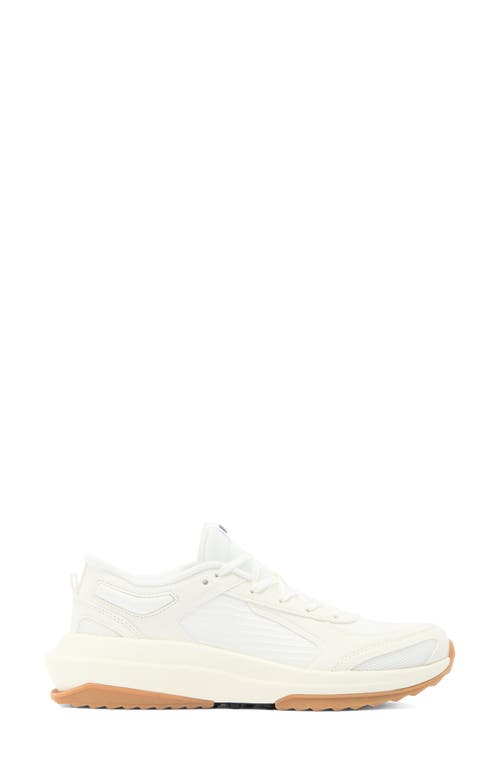 Apl Athletic Propulsion Labs Apl Jogger Sneaker