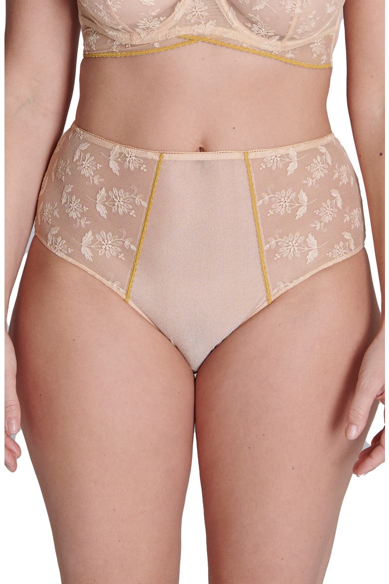 Adele High Waist Lace & Mesh Briefs, Main, color, GINGER