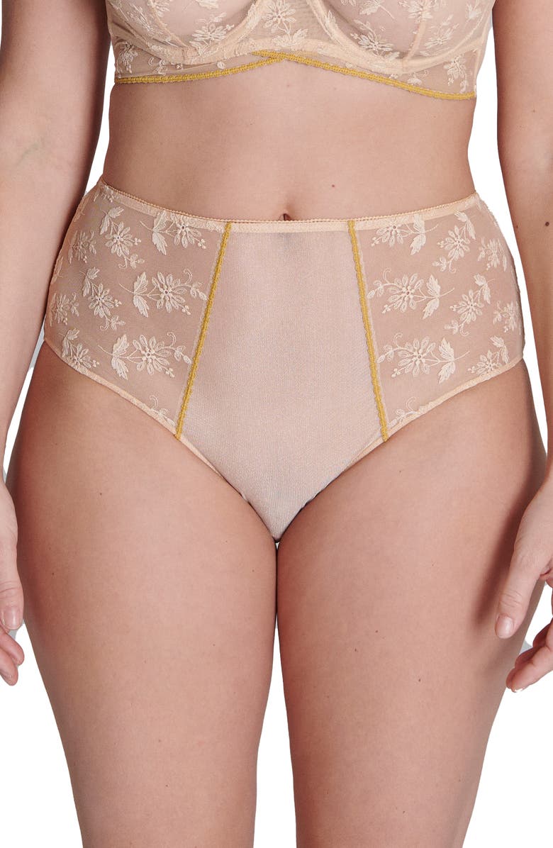 Simone Perele Adele High Waist Lace & Mesh Briefs, Main, color, Ginger