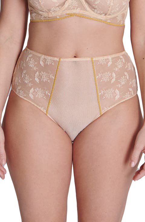 Adele High Waist Lace & Mesh Briefs