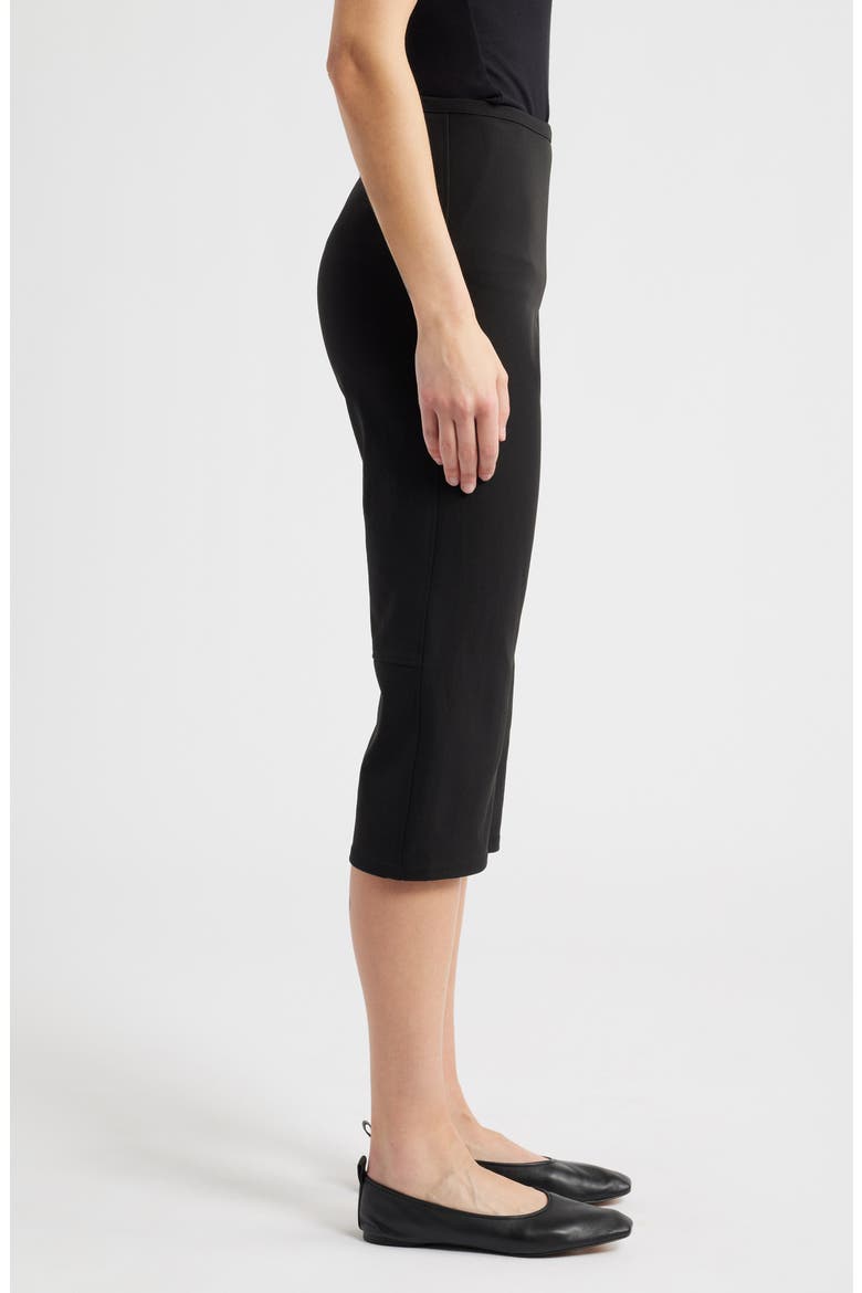 Slim Capri Pants, Alternate, color, BLACK