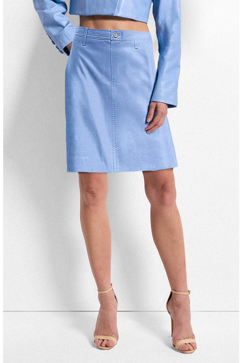 Poppy Leather Skirt, Alternate, color, PROVENCE BLUE