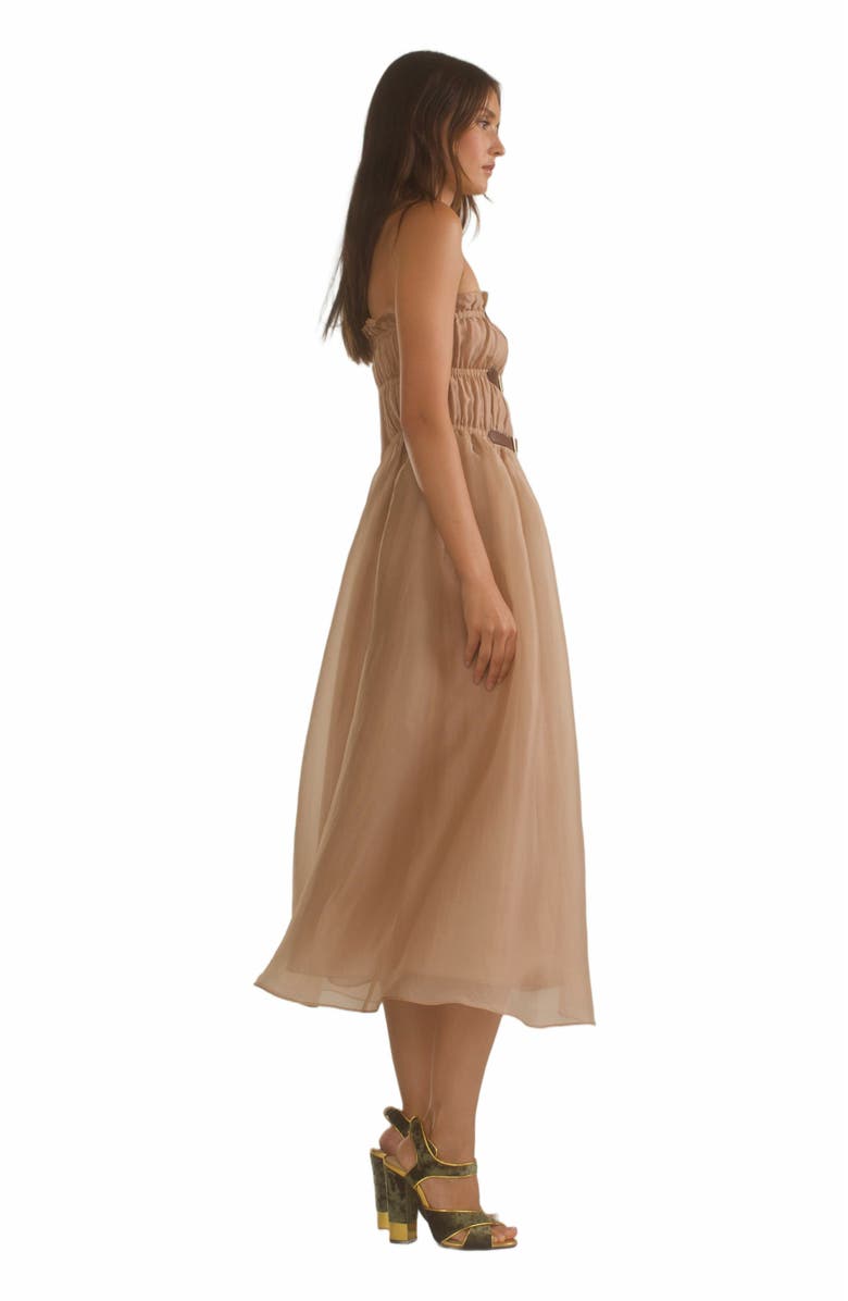 Cynthia Rowley Buckle Up Silk Organza Dress, Alternate, color, 