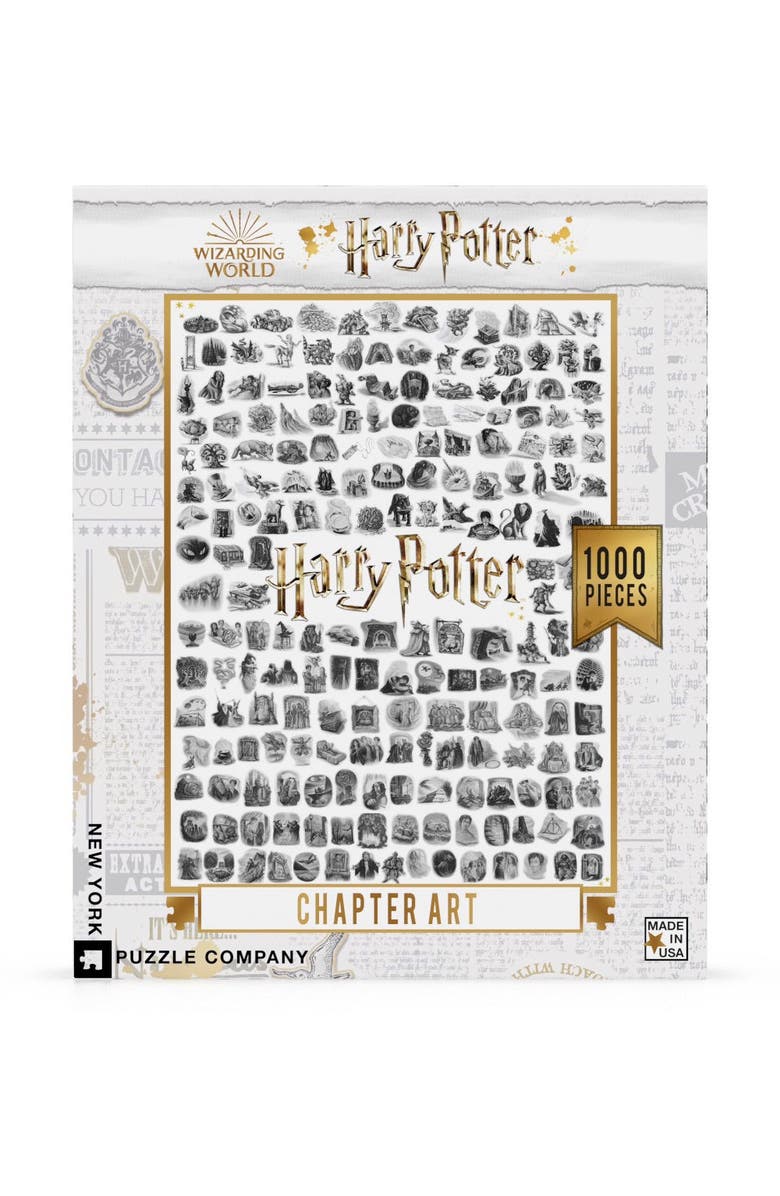 NEW YORK PUZZLE COMPANY Chapter Art 1000 Piece Puzzle, Main, color, NO COLOR