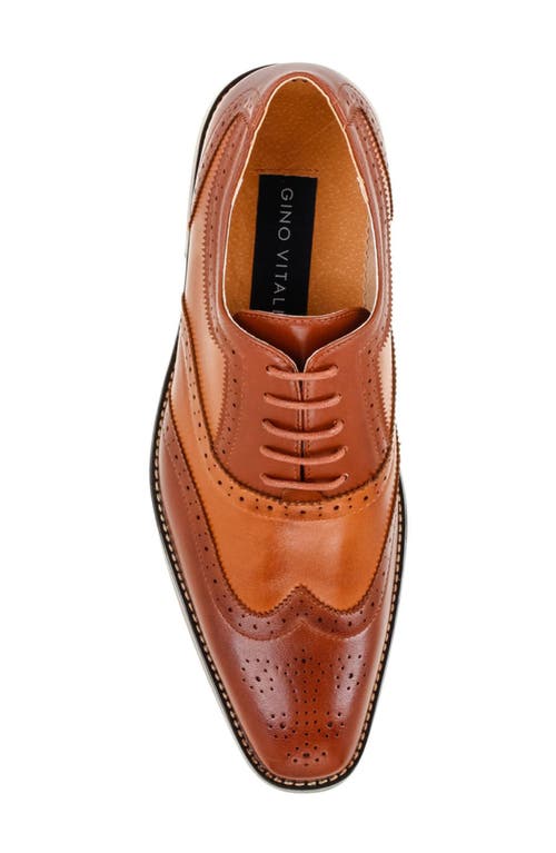 Gino Vitale Two-tone Wingtip Oxford In Brown