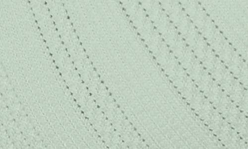 Florence By Mills Pointelle Lace Crop Top In Iceberg Green