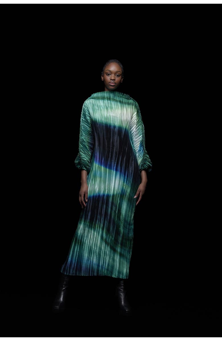 Leem Printed Plisse Batwing Dress, Alternate, color, Green