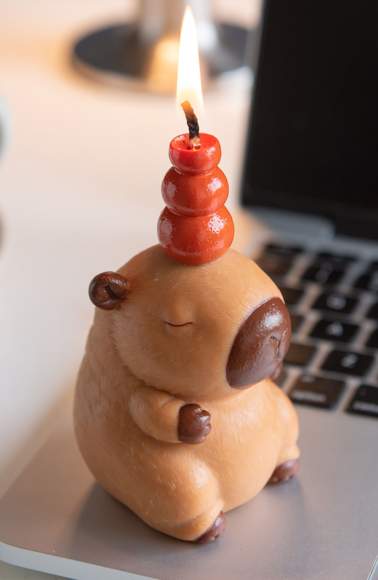 Southlake gifts Capybara Candle, Alternate, color, NO COLOR