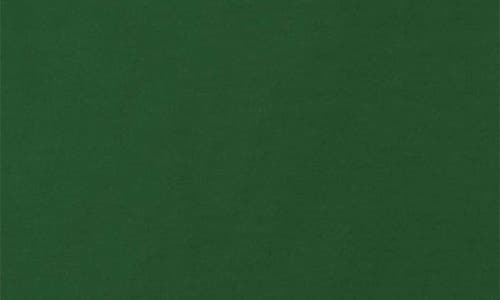 Students Fraternity Graphic T-shirt In Green