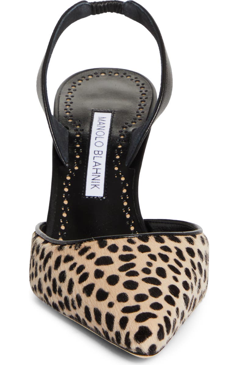 Manolo Blahnik Carolyne Genuine Calf Hair Slingback Pump, Alternate, color, Black/Ivory