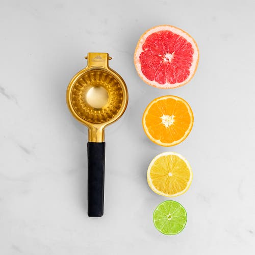 A Bar Above Gold Citrus Juicer In Gold