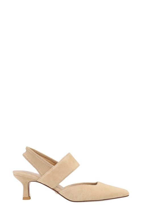 Pelle Moda Kiam Slingback Pointed Toe Kitten Heel Pump In Brown