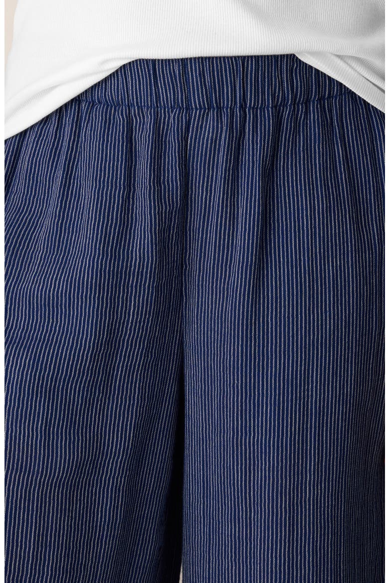 Stripe Wide Leg Ankle Pants, Alternate, color, DEEP DIVE