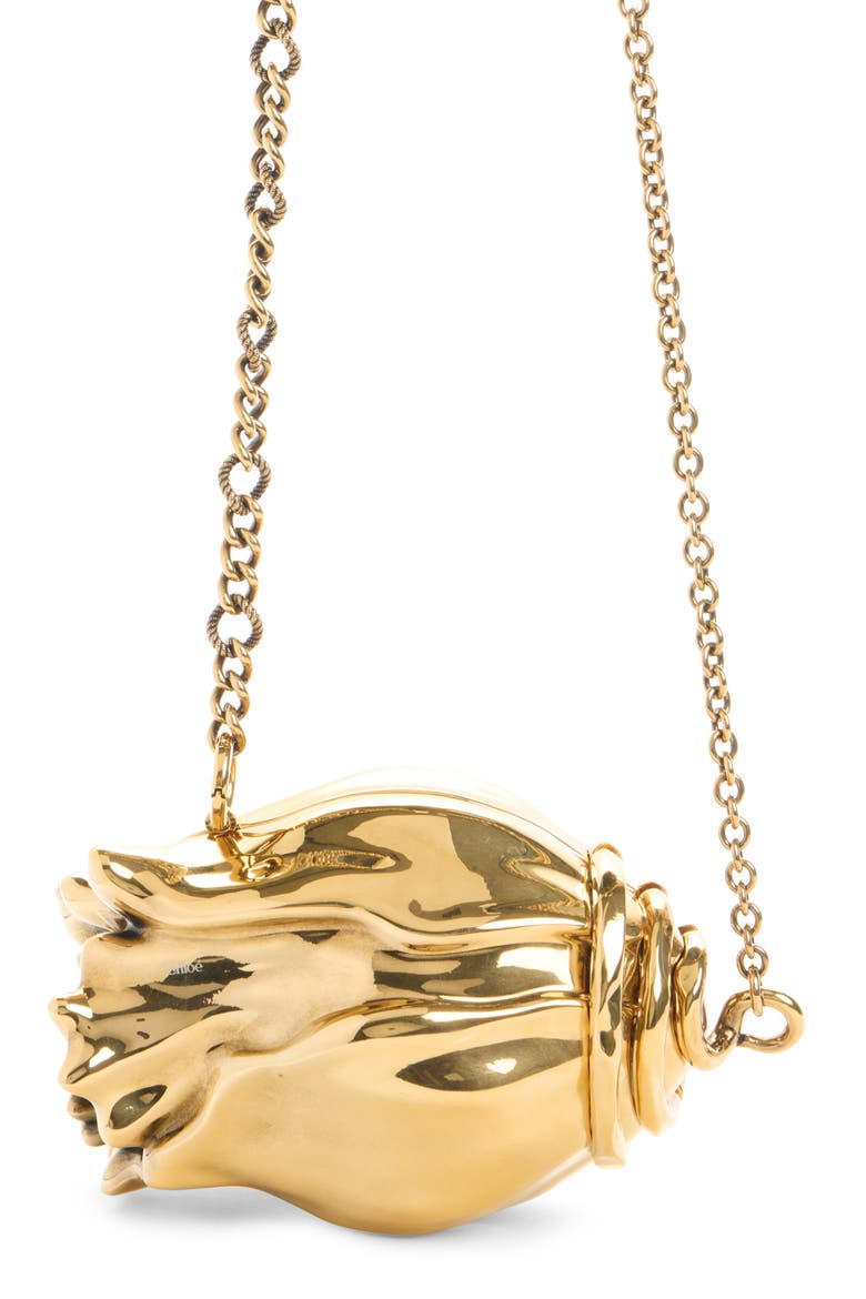Souvenir Treasures Shell Crossbody Bag, Main, color, GOLD COLOR