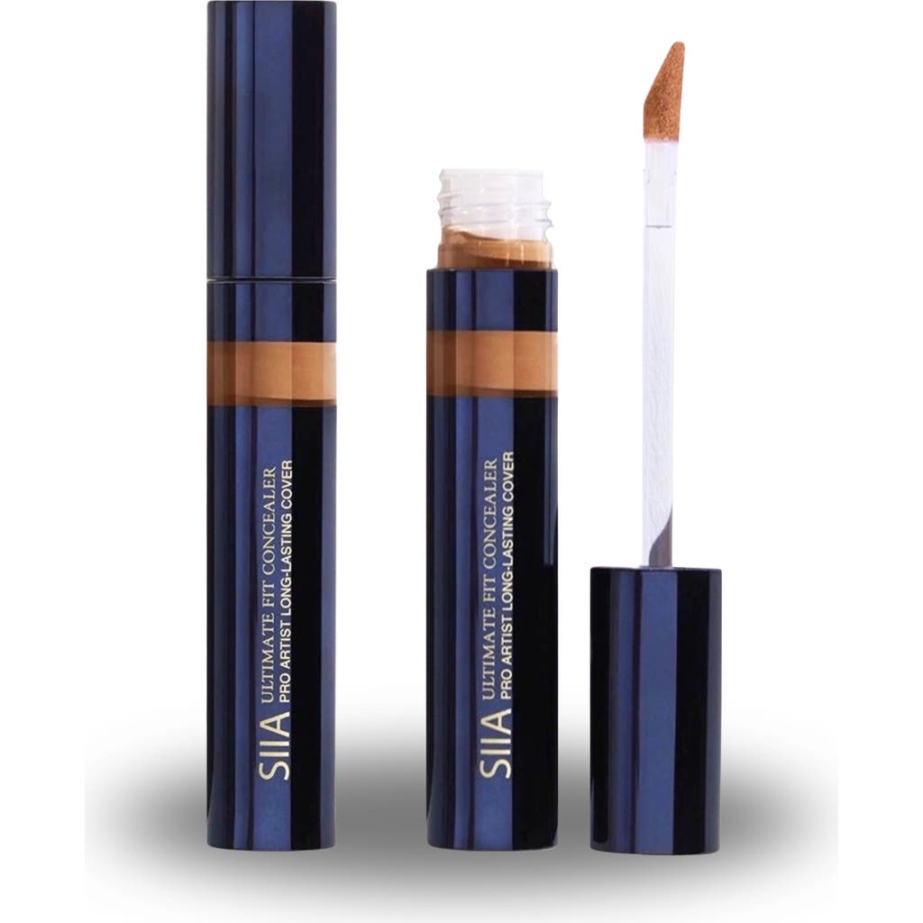 Siia Cosmetics 2-pc. Ultimate Fit Concealer Duo In Brown