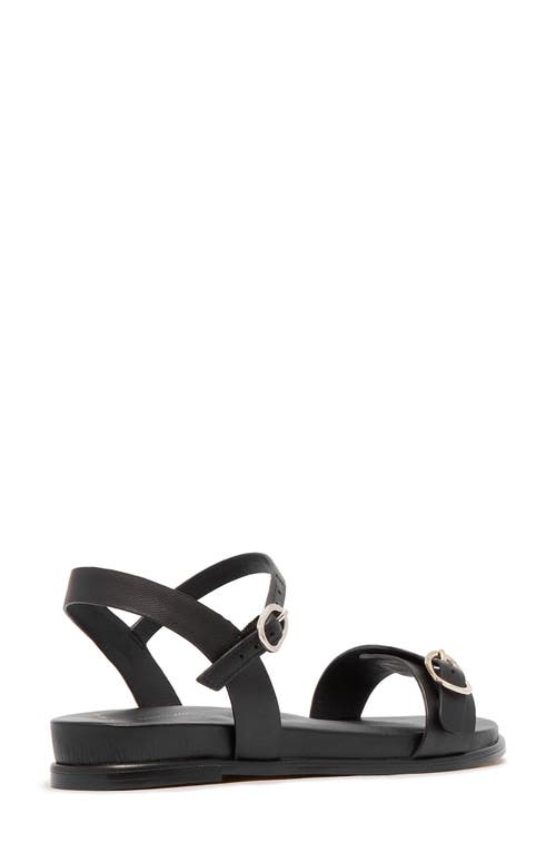 Frankie4 Bree Ankle Strap Sandal In Black