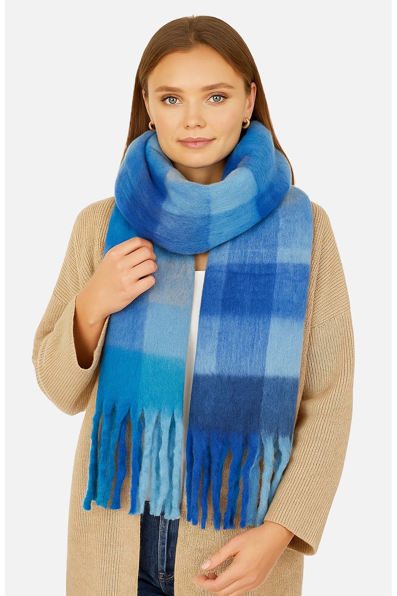 Check Soft Tassel Scarf, Alternate, color, Blue