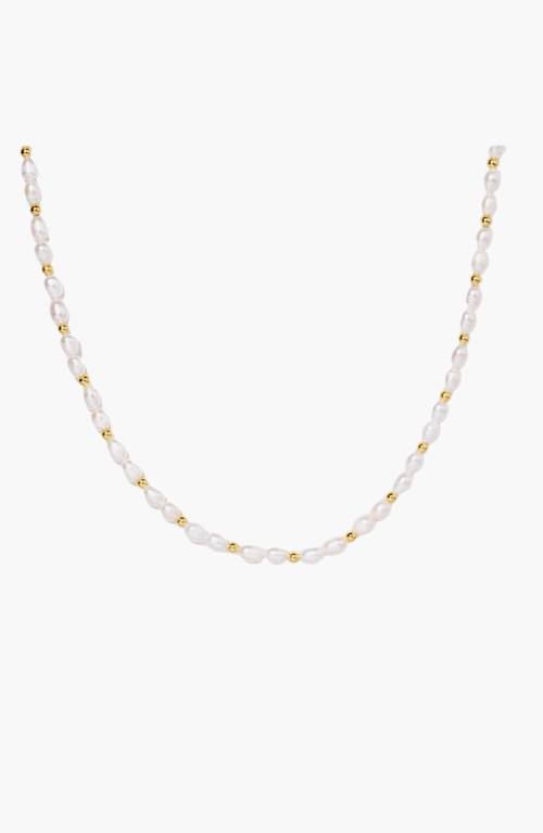 Little Sky Stone Zera Pearl Choker Necklace In White And Gold