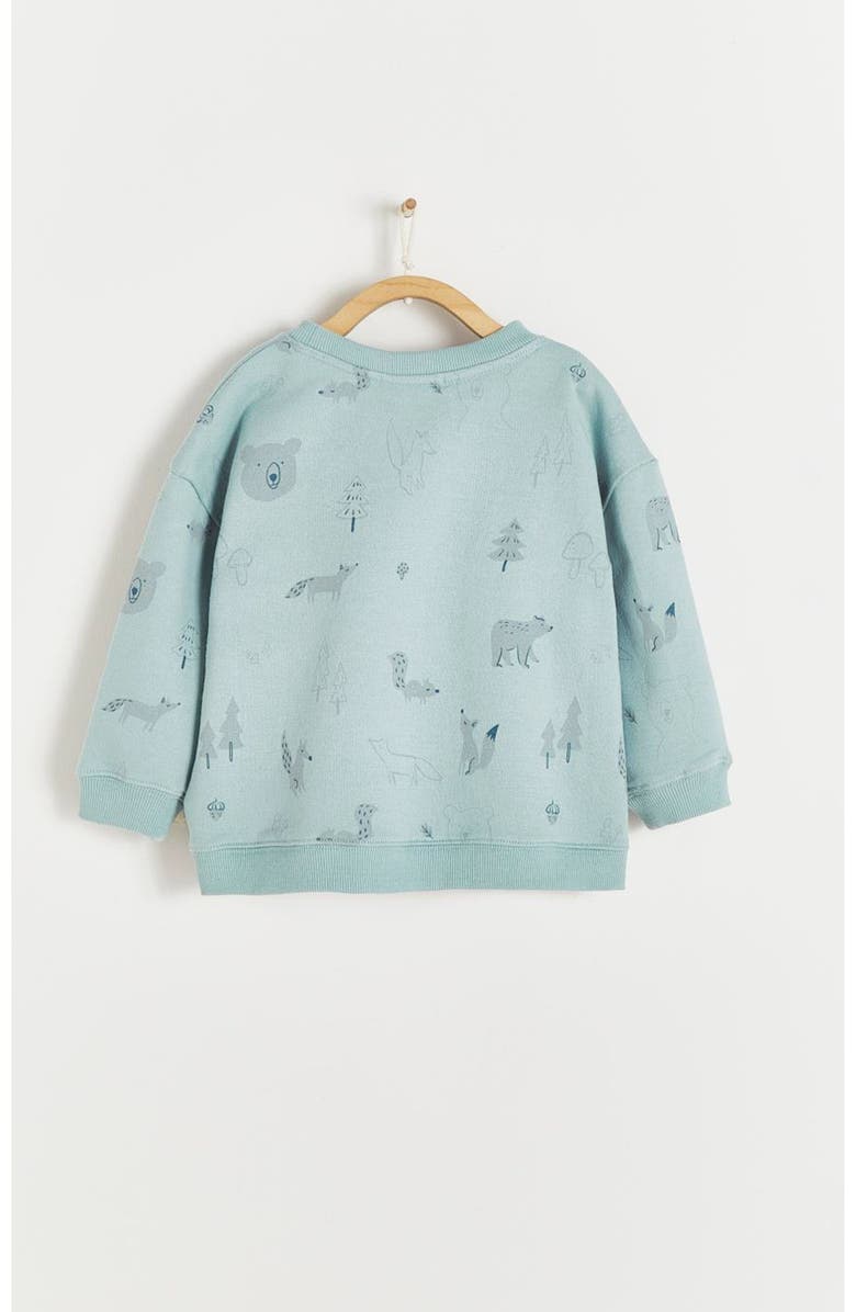 Babycottons Premium Cotton Merlin Print Sweatshirt For Infant, Alternate, color,