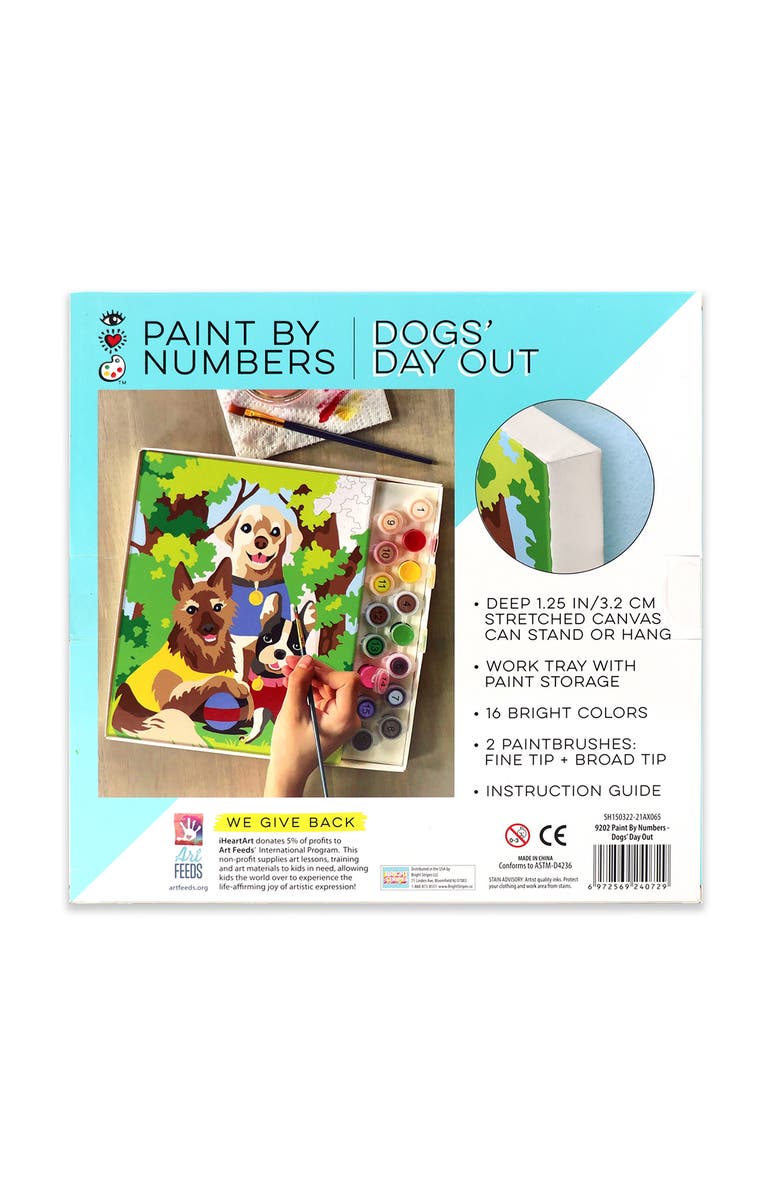 BRIGHT STRIPES Dogs' Day Out Paint by Numbers Set, Alternate, color, Multi