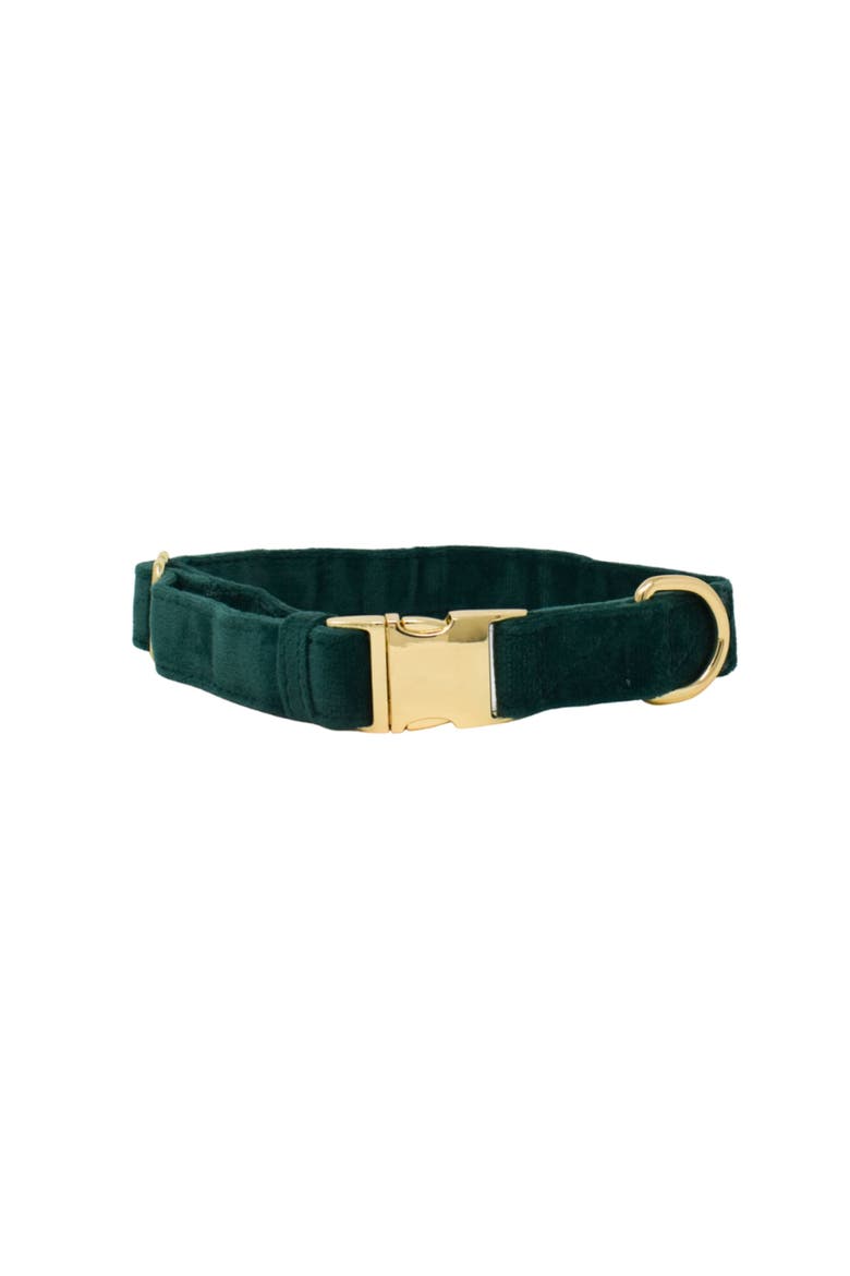 Rue Dog Collar, Main, color, Rue