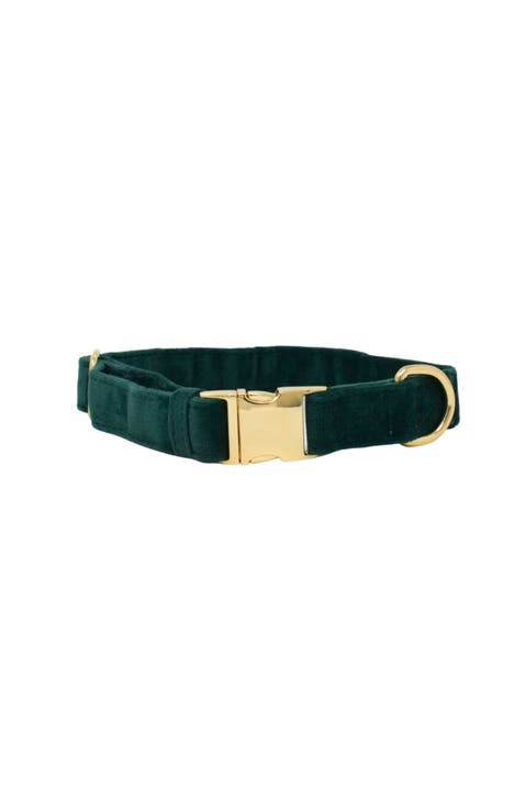 Rue Dog Collar