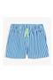 selected Blueberry White Stripe