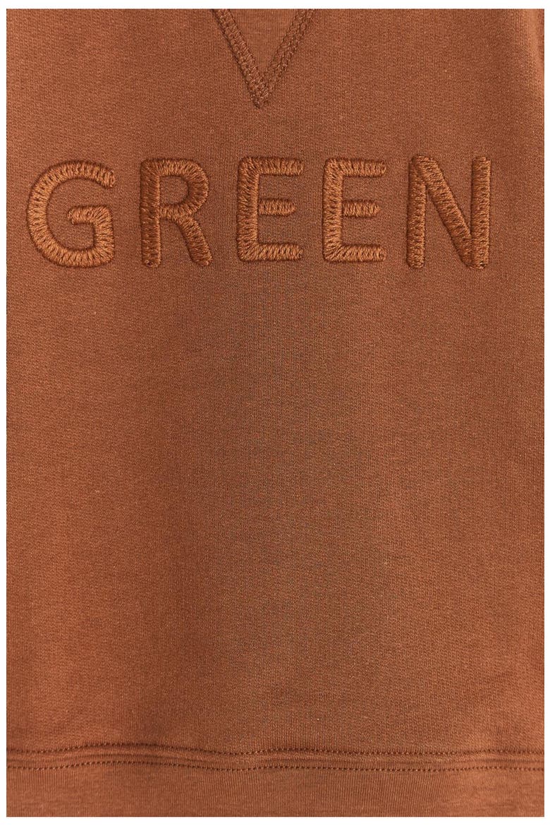 Sweatshirt Lenny Leaves for Toddler, Alternate, color, BROWN