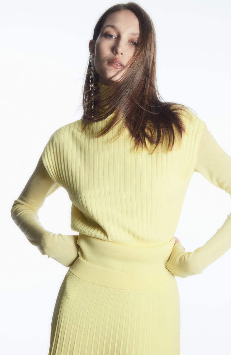 COS Pleated Knit Cotton Blend Maxi Skirt, Alternate, color,