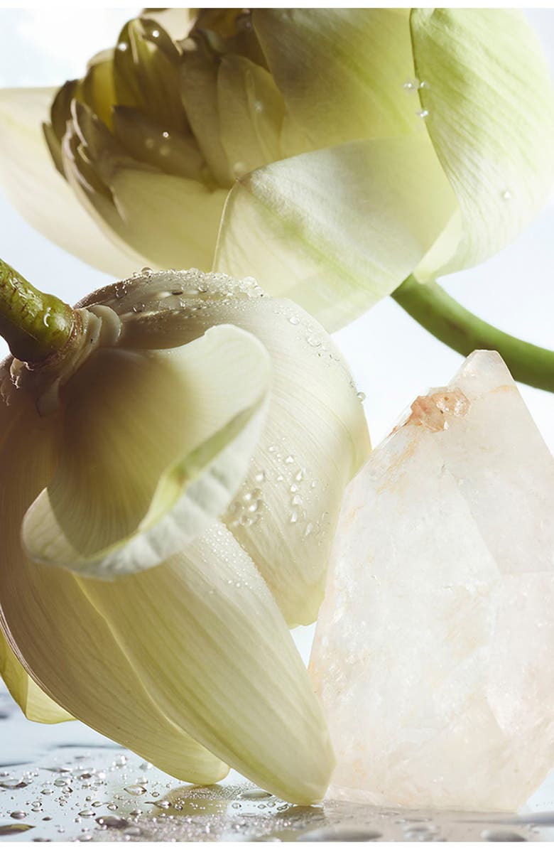 BVLGARI Man Rain Essence Eau de Parfum Gift Set, Alternate, color,