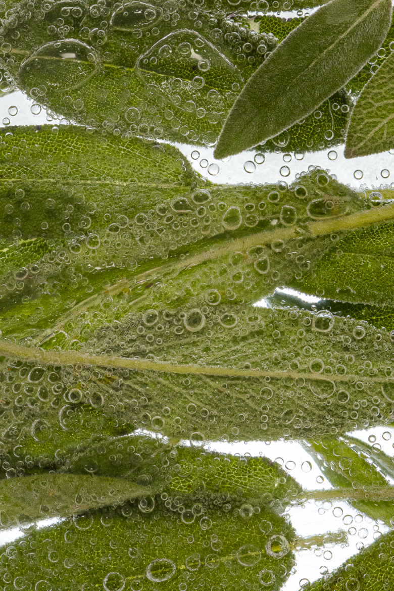 Sea Salt & Sage Kolonya Organic Hand Cleanser - Salty Greens & Vetiver, Alternate, color, 5 oz