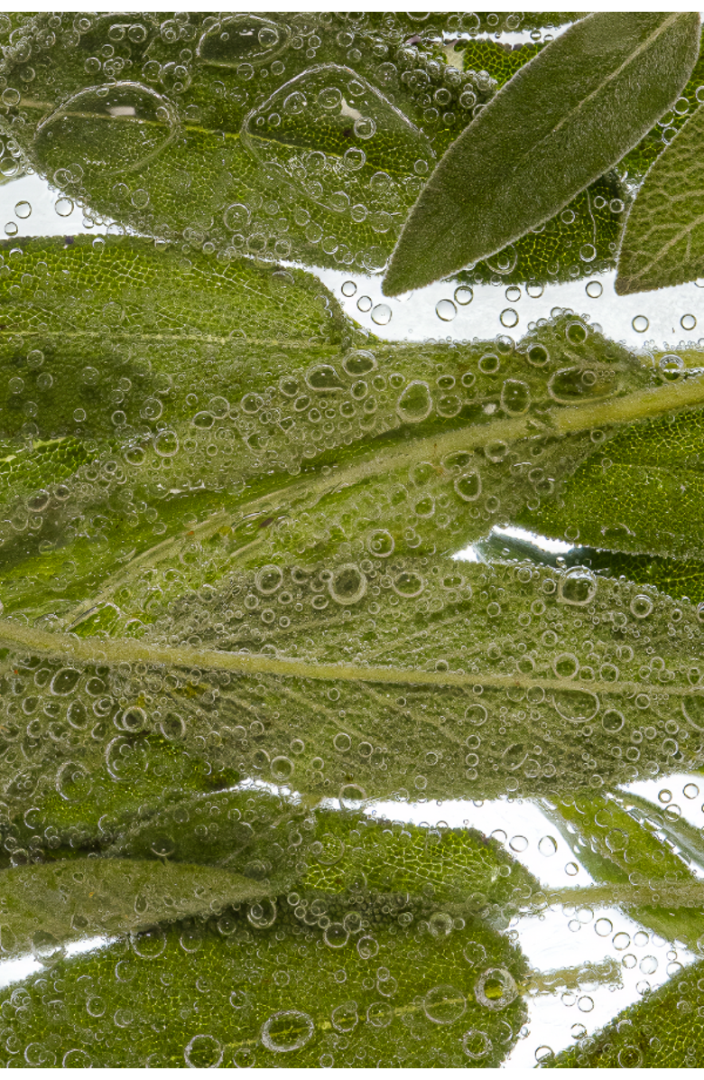 Esas NYC Sea Salt & Sage Kolonya Organic Hand Cleanser - Salty Greens & Vetiver, Alternate, color, 5 Oz