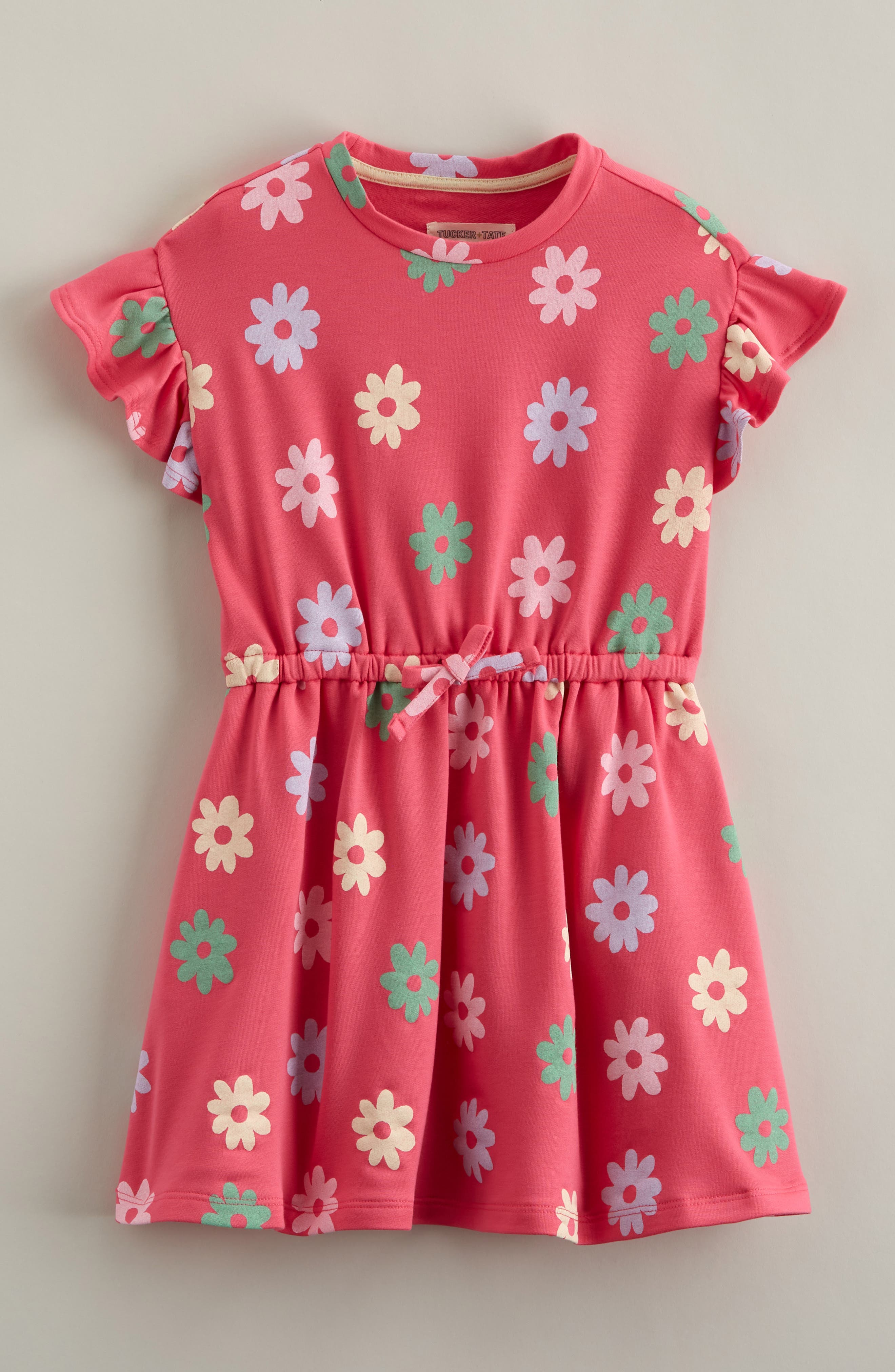 PINK FLAMBE RAINBOW DAISY
