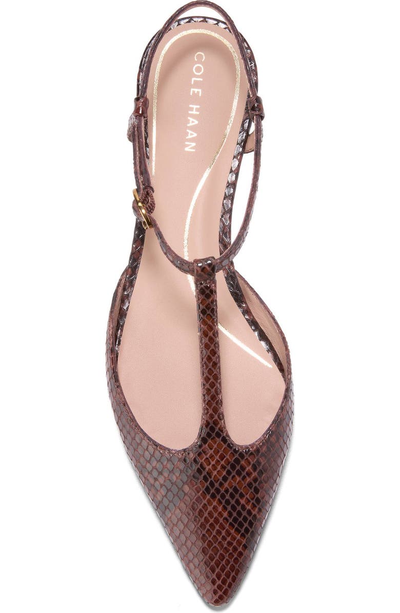 Cole Haan Marlah T-Strap Pointed Toe Ballet Flat, Alternate, color, Dark Cuoio Snake Print Leather