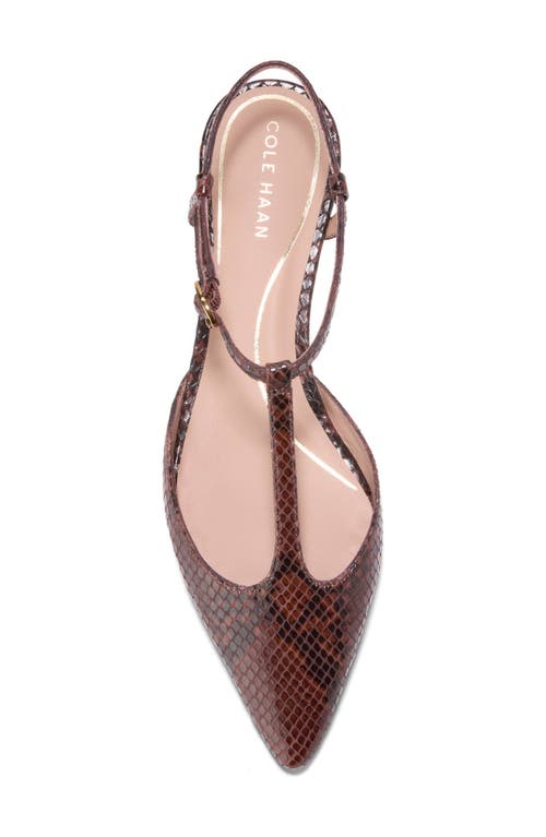 Shop Cole Haan Marlah T-strap Pointed Toe Ballet Flat