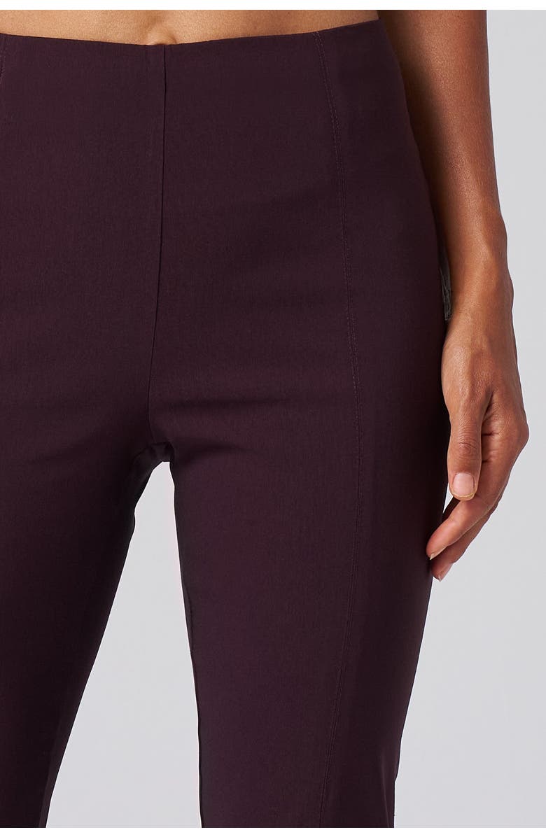 Franne Golde All Season Tapered Pull-On Stretch Pants, Alternate, color, Black Cherry