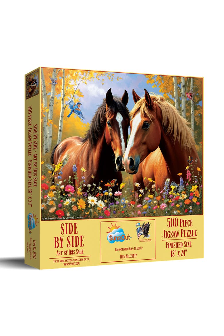 Side By Side 500, Main, color, Multicolor