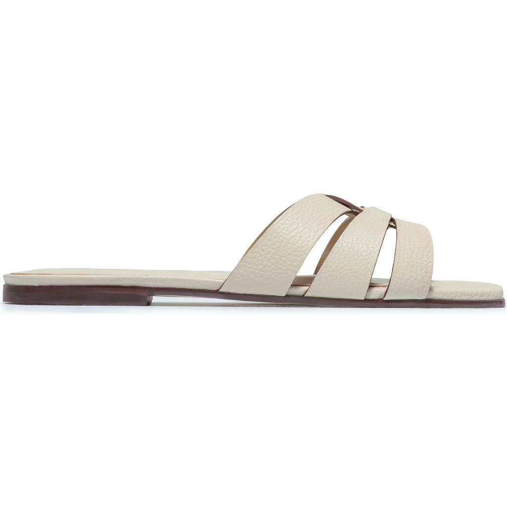 Bernardo Footwear Oxford Flat Sandal in Eggshell at Nordstrom, Size 6.5