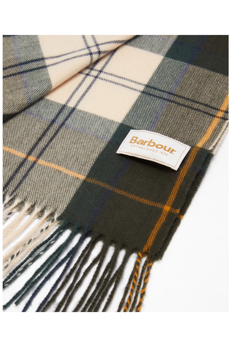 Hailes Tartan Fringe Scarf, Alternate, color, ANCIENT TARTAN