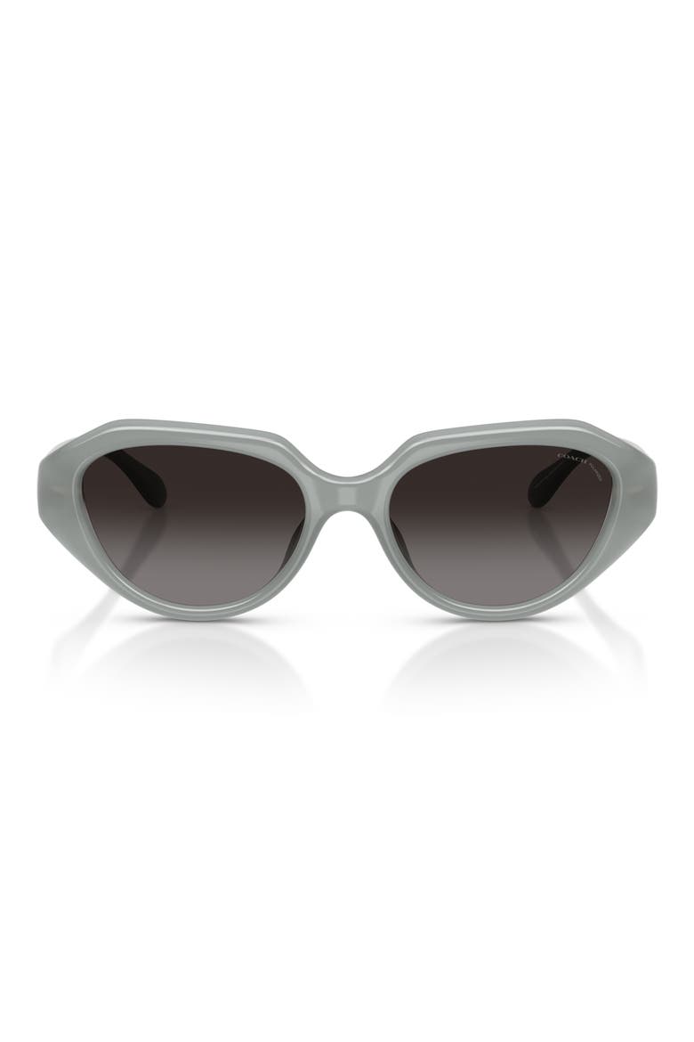 52mm Gradient Polarized Irregular Sunglasses, Main, color, MILKY EUCALYPTUS / GREY