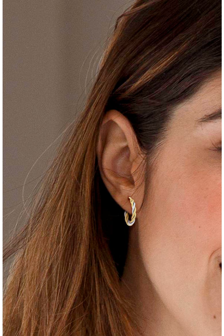 Twisted Two-Tone Hoop Earrings, Alternate, color, MULTI-COLOR
