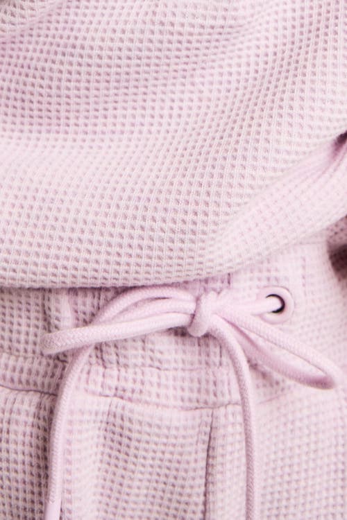 Negative Underwear Waffle Knit Jogger In Purple