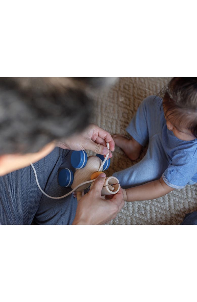 PlanToys<sup>®</sup> Puppy Push & Pull Toy, Alternate, color, Assorted