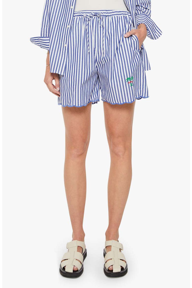 The Drawn Freeballer Stripe Cotton Shorts, Main, color, WHITE AND BLUE STRIPE